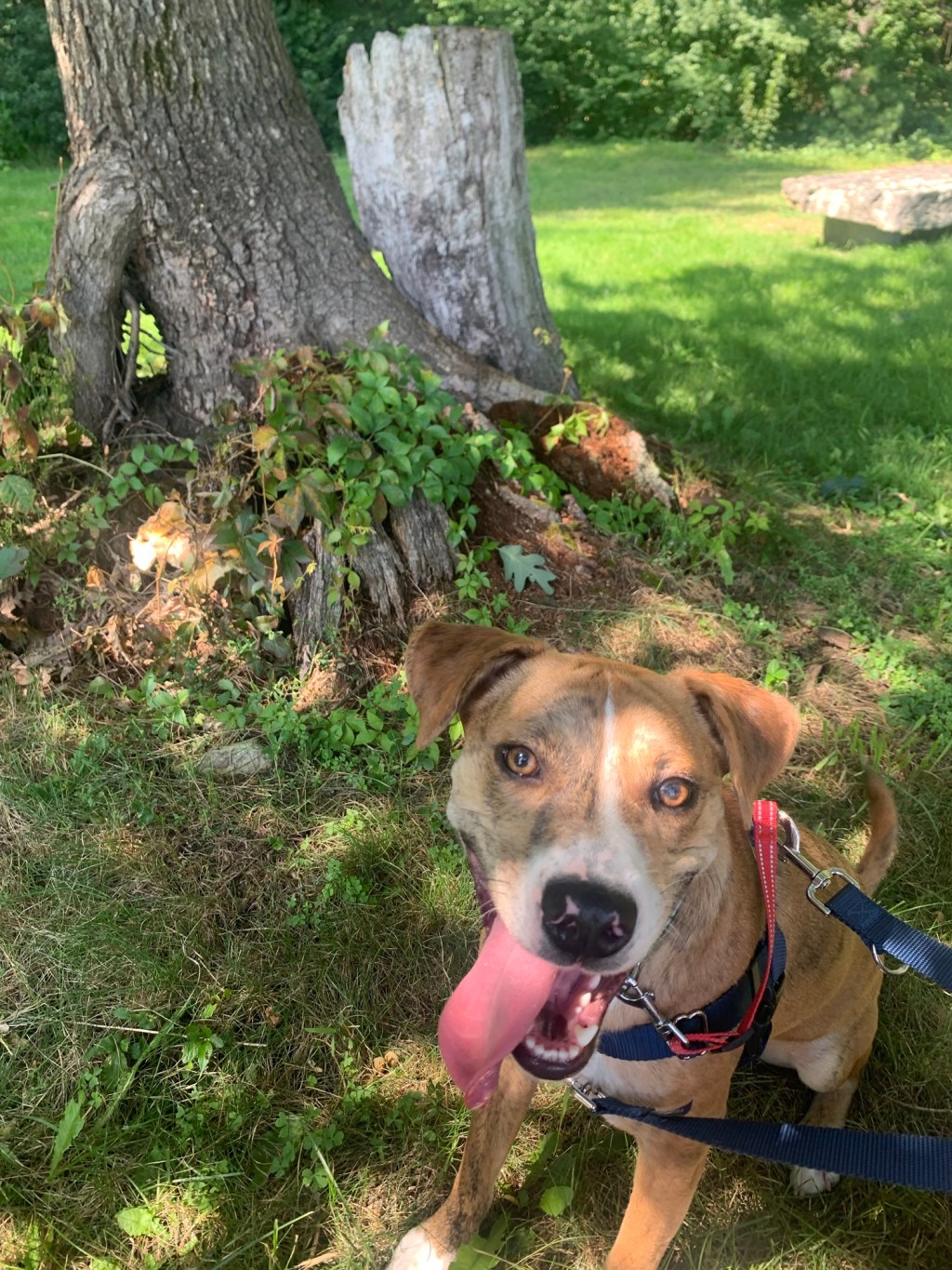 Doe Orchards with&nbsp;Danny